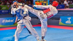 Sports fight Fighting kick WTF olympics taekwondo kicking