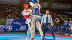 Sports fight Fighting kick WTF olympics taekwondo kicking