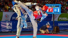 Sports fight Fighting kick WTF olympics taekwondo kicking