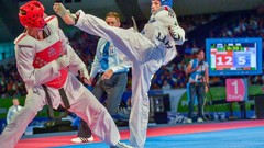 Sports fight Fighting kick WTF olympics taekwondo kicking