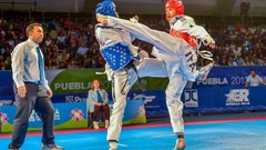 Sports fight Fighting kick WTF olympics taekwondo kicking