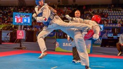 Sports fight Fighting kick WTF olympics taekwondo kicking