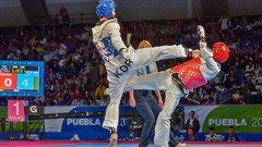 Sports fight Fighting kick WTF olympics taekwondo kicking