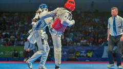Sports fight Fighting kick WTF olympics taekwondo kicking