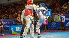 Sports fight Fighting kick WTF olympics taekwondo kicking