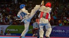 Sports fight Fighting kick WTF olympics taekwondo kicking