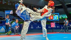 Sports fight Fighting kick WTF olympics taekwondo kicking