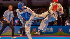 Sports fight Fighting kick WTF olympics taekwondo kicking