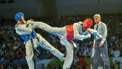 Sports fight Fighting kick WTF olympics taekwondo kicking