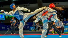 Sports fight Fighting kick WTF olympics taekwondo kicking