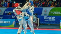 Sports fight Fighting kick WTF olympics taekwondo kicking