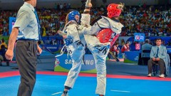 Sports fight Fighting kick WTF olympics taekwondo kicking