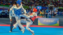 Sports fight Fighting kick WTF olympics taekwondo kicking