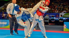 Sports fight Fighting kick WTF olympics taekwondo kicking