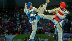 Sports fight Fighting kick WTF olympics taekwondo kicking