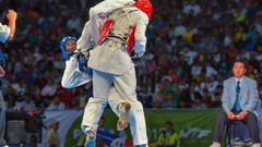 Sports fight Fighting kick WTF olympics taekwondo kicking