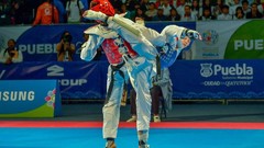 Sports fight Fighting kick WTF olympics taekwondo kicking