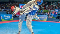 Sports fight Fighting kick WTF olympics taekwondo kicking