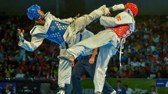 Sports fight Fighting kick WTF olympics taekwondo kicking