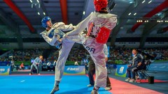 Sports fight Fighting kick WTF olympics taekwondo kicking