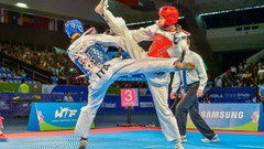 Sports fight Fighting kick WTF olympics taekwondo kicking