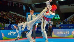 Sports fight Fighting kick WTF olympics taekwondo kicking