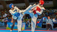 Sports fight Fighting kick WTF olympics taekwondo kicking