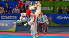 Sports fight Fighting kick WTF olympics taekwondo kicking