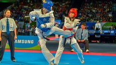 Sports fight Fighting kick WTF olympics taekwondo kicking