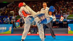 Sports fight Fighting kick WTF olympics taekwondo kicking