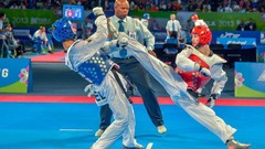Sports fight Fighting kick WTF olympics taekwondo kicking
