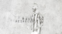 Sports football player raul meireles soccer Fenerbahce