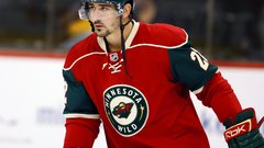 Sports hockey minnesota Wild