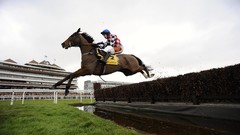 Sports Horses riding horse racing