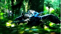 Sports Music cars Fractalius