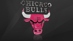 Sports nba basketball chicago