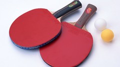 Sports ping pong table
