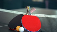 Sports ping pong table