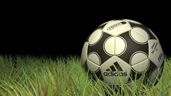 Sports soccer balls