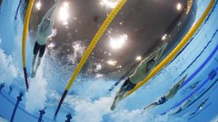Sports swimming racing olympics 2012 swimming pools