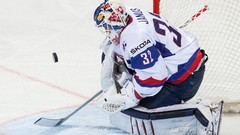 Sports Team championship goalkeeper slovakia ice hockey Janus 