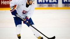 Sports Team championship slovakia ice hockey Slovakian