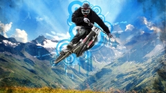 Sports will Be Sport