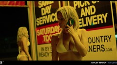 Spring ashley benson