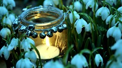 Spring Candles snowdrops white flowers jars tealight