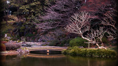 Spring in Japan World