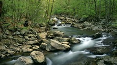 Spring rivers National West