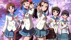 Spring seifuku cherry blossoms amami haruka kikuchi makoto 
