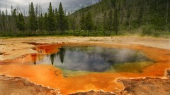 Spring Wyoming national park yellowstone