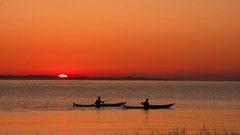 Squares hills Green Culture crop fields